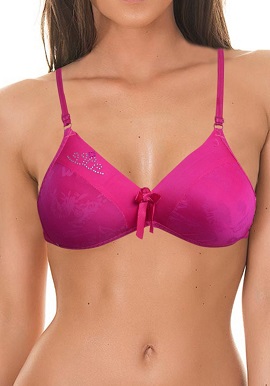 Women's Cool Magenta Everyday Bra |online|India|buy|