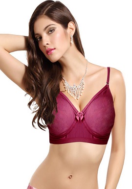 Hushh Women's Full Figure Wire Free Everyday Bra