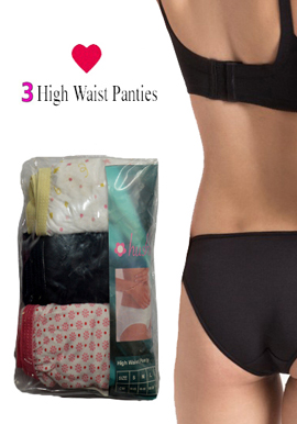 Hushh women's sexy High Waist Brief Pack of 3