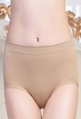 Bpc Comfort Revolution Plus Size Briefs(Pk Of 6)