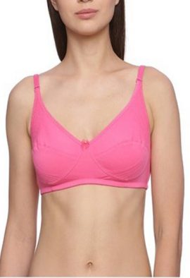 Hushh Magenta Comfy Plus Size Regular Use Bra