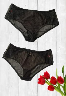 Triumph See Through Mesh Hi-Cut Panty