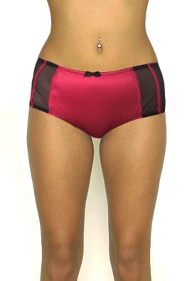 Best Deal- Sexy Fishnet See Through High Waist Panty. Snazzyway