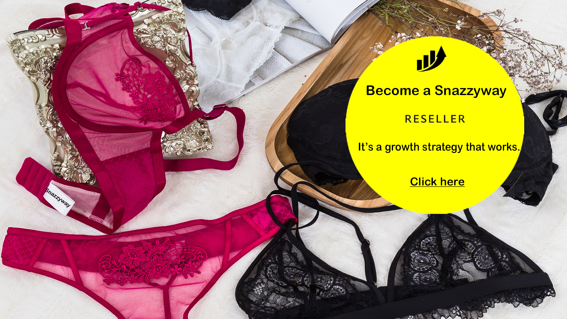 Snazzyway India Lingerie Dropship suppiler with a Difference