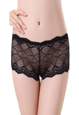 HOT! Sexy Lace Underwear for Woman Transparent Panties Ladies