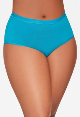 Women's Best Fitting Panties Briefs 4 Pack