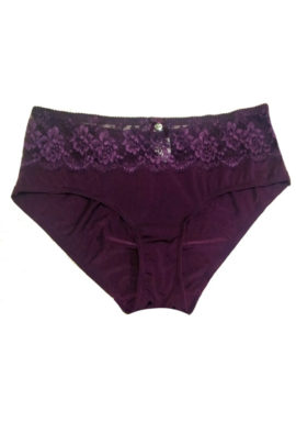 Gerard Pasquier Purple Lace High Leg Knickers