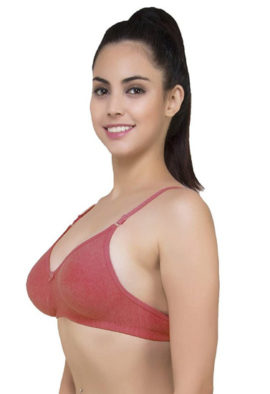 Light Padded classic comfort bra pack of 2
