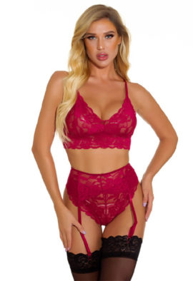 Beautiful Lace Bralette Bra Garter & Panties